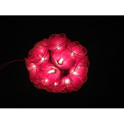 Pink Flower String lights